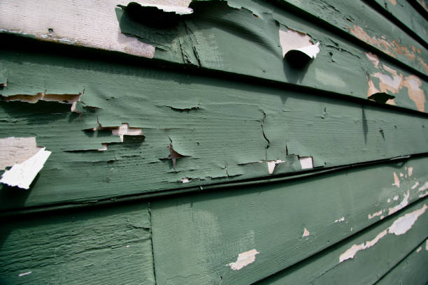 Best Historical Building Siding Restoration  in Mbrian Park, CA