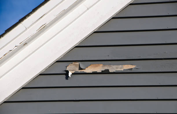 Best Residential Vinyl Siding Installation  in Mbrian Park, CA