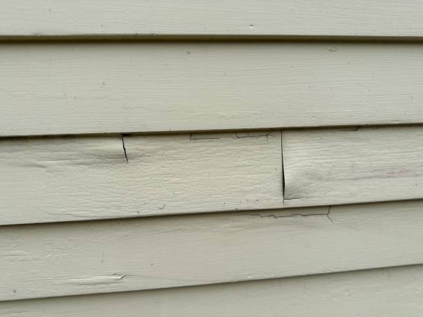 Siding for Multi-Family Homes in Cambrian Park, CA